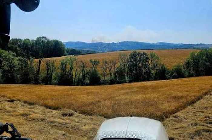 Live: Huge wildfire breaks out on Dartmoor
