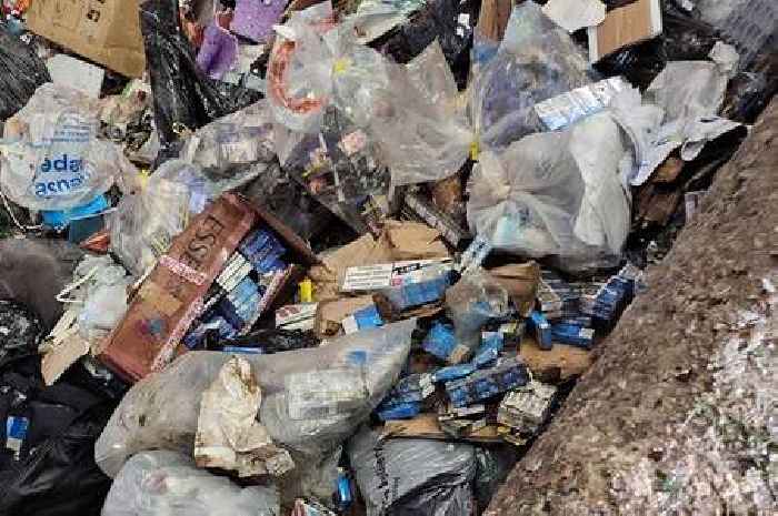 Illegal cigarettes and tobacco go up in smoke