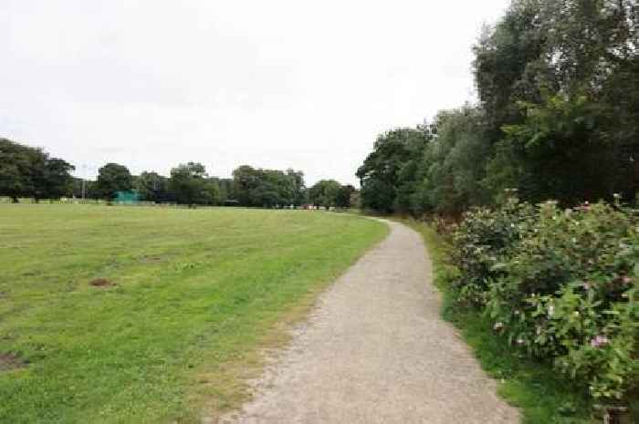 Woman killed by falling branch in park as emergency services race to scene