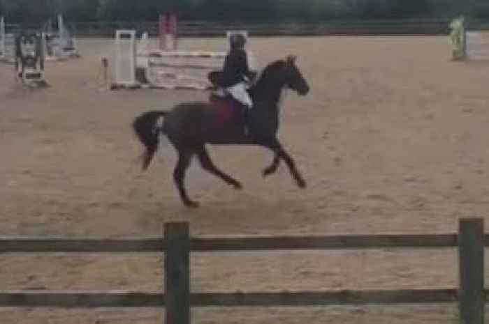 Community 'deeply saddened' after Welsh school teacher dies in horse fall