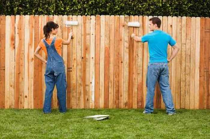 What the law says about painting a neighbour’s fence that faces your garden