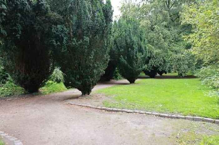 Woman killed by falling tree branch 'in front of child' at popular park