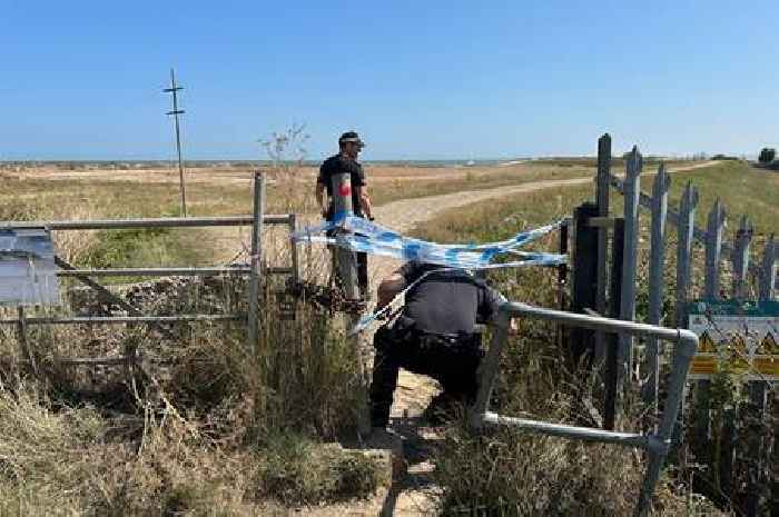 Girl, 12, arrested for murder of man as three other children charged