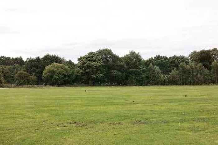 Woman dies in tragedy after being struck by falling branch in UK park