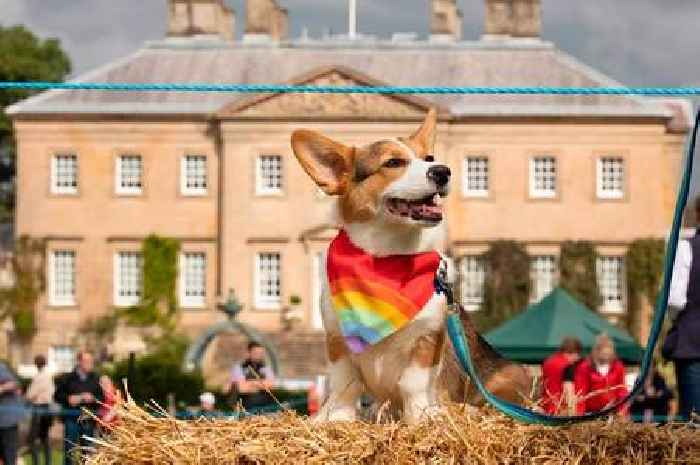 Dumfries House bring Fun Dog Show forward to help keep pups cool in summer sun