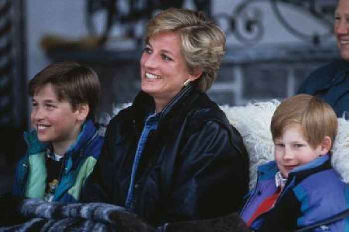 Expert makes bombshell Diana claim about Prince Harry and William's ongoing feud