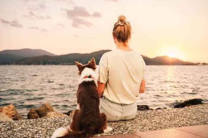 'Stay indoors' health warning to dog owners as UK heatwave sparks beach dangers
