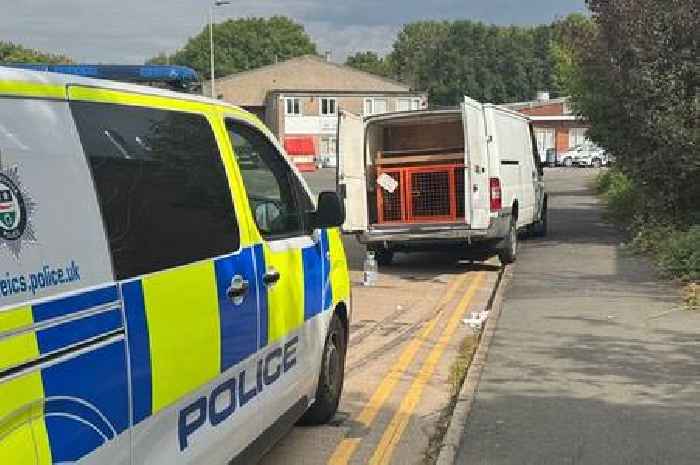 Dog with no water rescued from locked Leicester van in heatwave