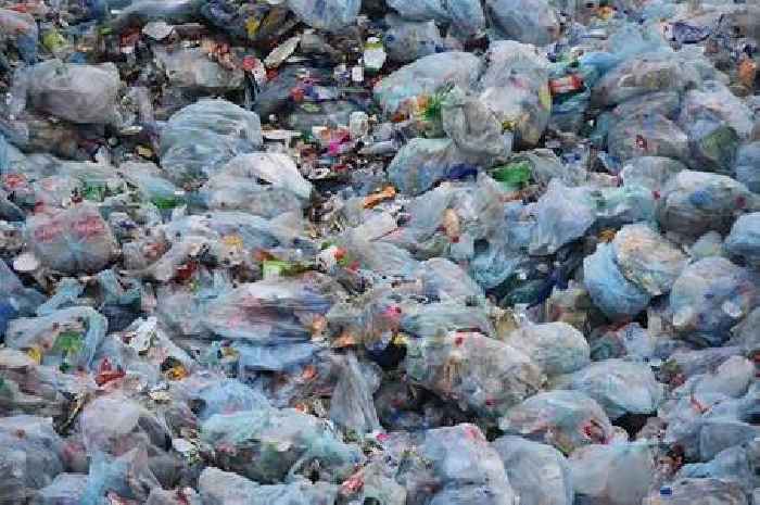 North East Lincs households to get container and caddy for weekly food waste collections