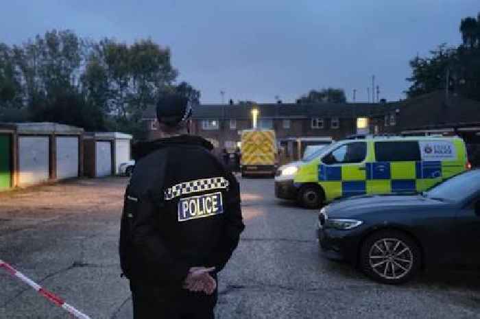 Man accused of stabbing dog walker to death claimed he 'did the police's job for them', Chelmsford murder trial hears