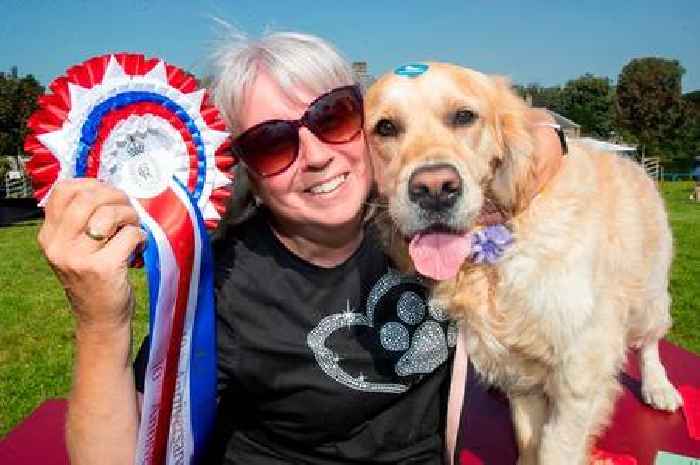 Pups sparkle in summer sun at annual Dumfries House Fun Dog Show