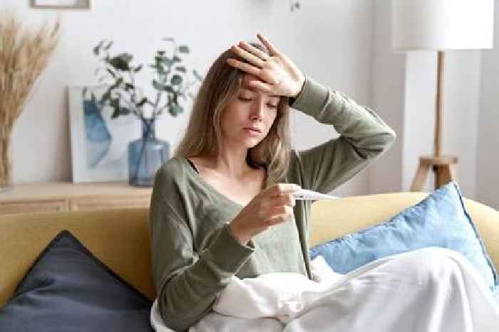 Urgent warning as cases of mosquito virus causing 'sudden fever' rise in UK