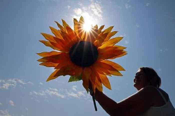 Climate change made ‘relentless’ Nordic heatwave in July hotter and more likely