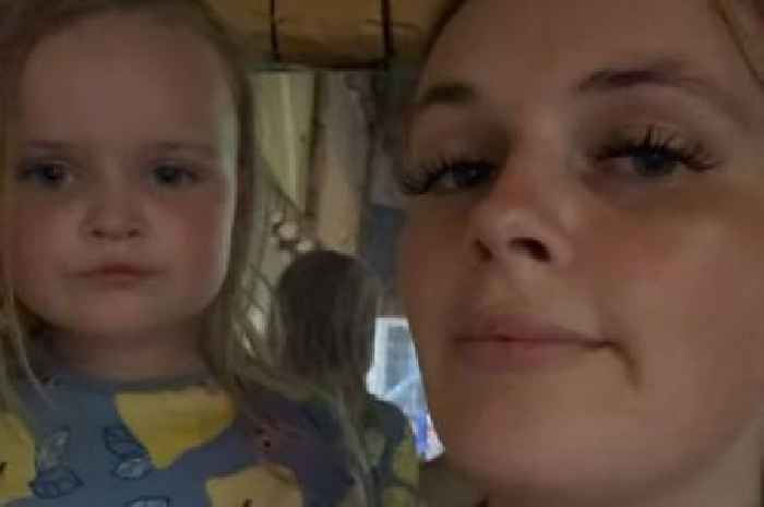 Mum struck by collapsing fence at Coney Beach attraction