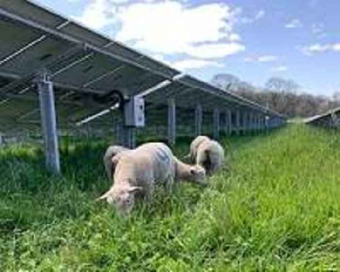 Surprisingly diverse innovations led to dramatically cheaper solar panels