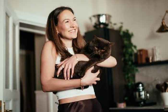 Pet behaviourist urges cat owners to follow 'golden rule' with litter boxes