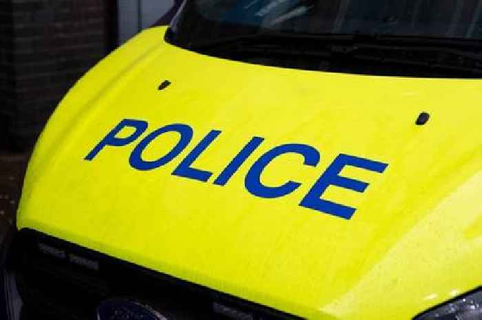Two officers sacked after man, 34, died in police van