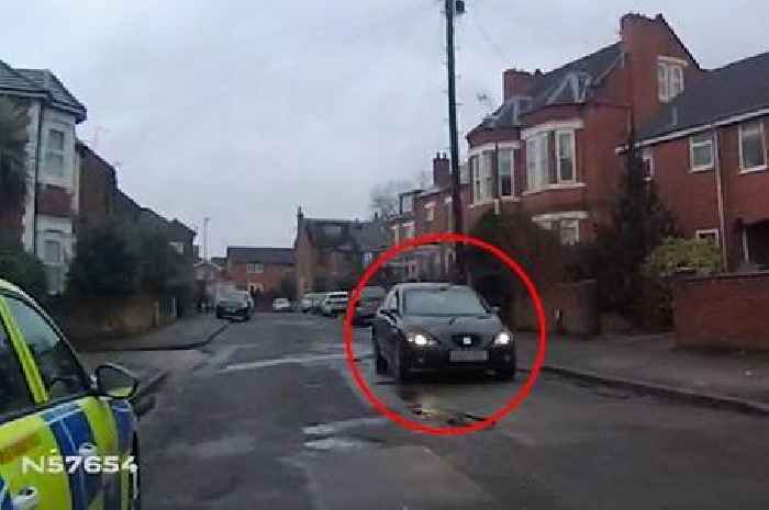 Driver fined hundreds after swearing at special constable and saying he wasn't 'real'