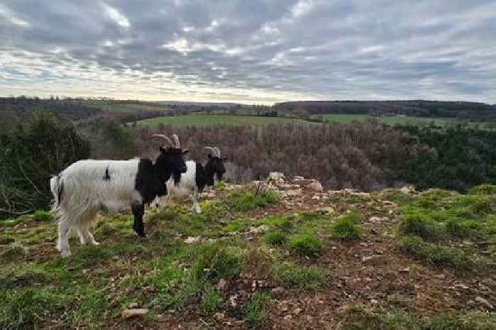 Rare species benefit from huge multi-million pound investment