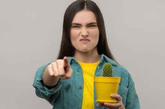 'Neighbour wants me to switch my wifi off because it's distracting her plants'