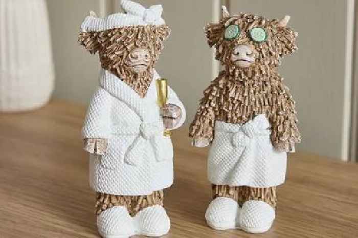 Next shoppers gush over 'cute' £12 ornament that 'completes their bathroom'