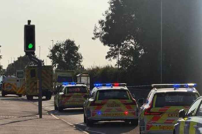 Man dies after car crashes into bus stop