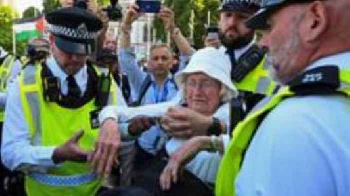 Calls for review of law after Palestine Action arrests