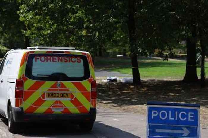 Two arrests after early-morning assault in Bristol park