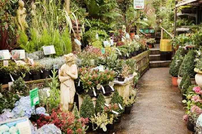 Help us crown Leicestershire's top garden centre: Nominate your favourite now