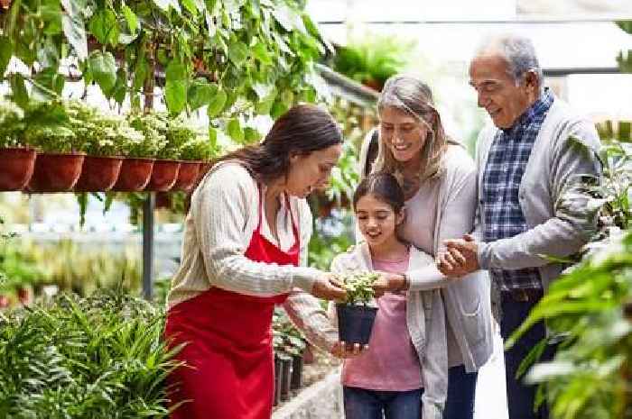 Nottingham's top garden centres: Nominate your favourite for our reader's choice award