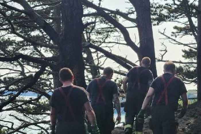 Devon fire crews in two-day battle with clifftop inferno