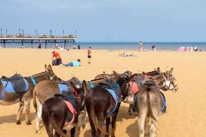Most littered UK beach named that's 'covered in faeces' and broken glass