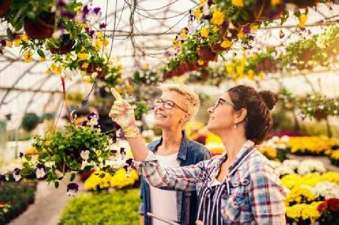 Surrey's top garden centres: Nominate your favourite in our reader poll