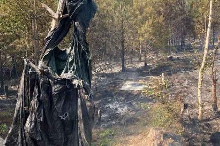 Source of Surrey wildfire confirmed as fire department issues important advice