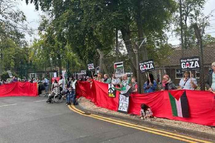 Pro-Palestine protesters chant ‘RAF shame on you’ at air base demonstration