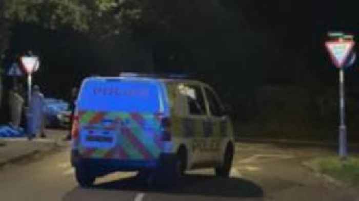 Arrest after pedestrian fatally hit by car
