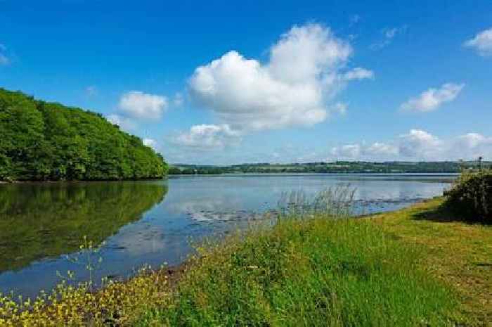 Child dies in tragic incident at Cornwall beauty spot