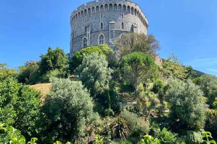 Fairytale castle on edge of Surrey named among Europe's most beautiful with tourists across the world obsessed with it