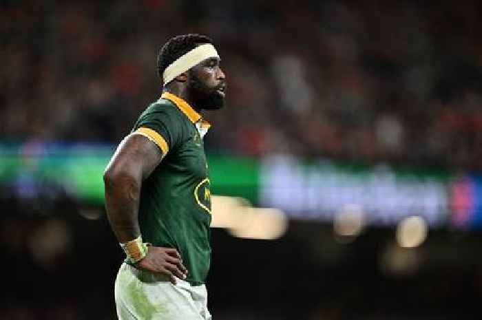 Springbok star issues apology as Rassie Erasmus turns air blue after stunning collapse