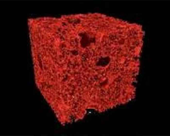 Early galaxies - or something else? Mizzou scientists uncover mysterious objects in the universe