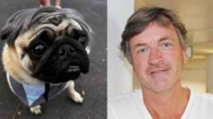 Pug wins Richard Madeley lookalike contest