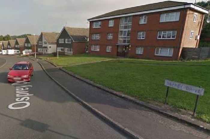 Bogus doorstep caller shoves elderly woman over and grabs handbag