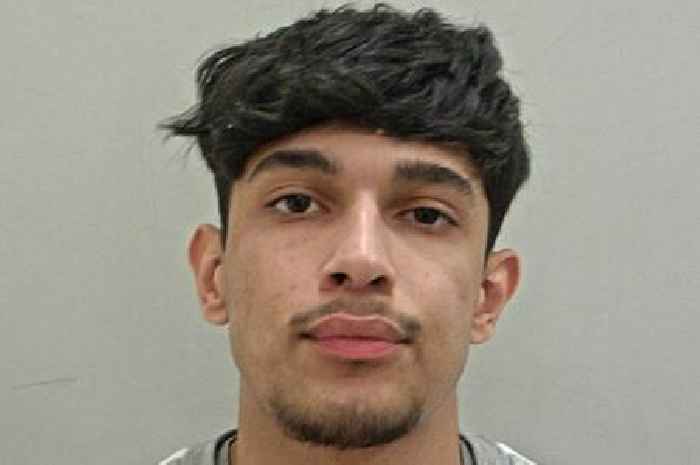 Killer sang Shaggy hit 'It Wasn't Me' after mowing down pregnant mum on zebra crossing