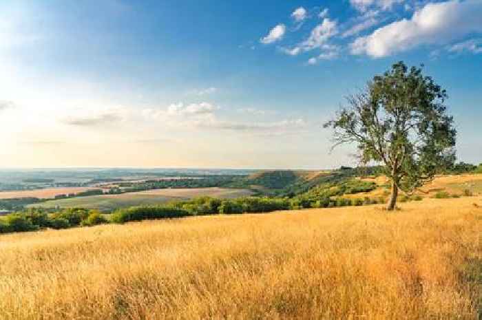 Met Office says what's next as heatwave ends