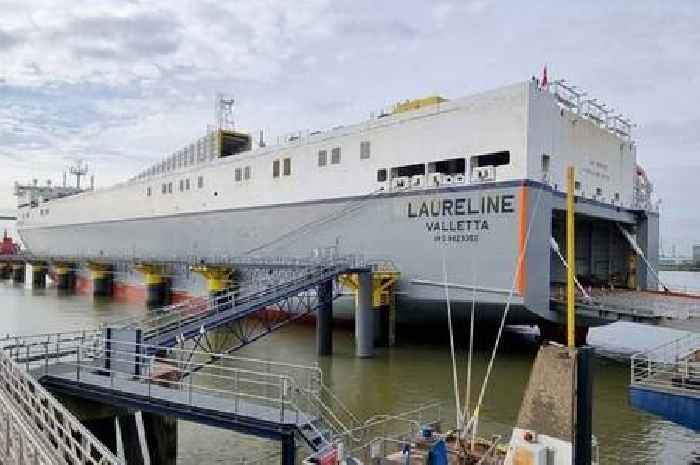 Ship crew member died after being crushed by unloading trailer at docks in Purfleet, report finds