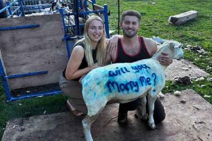 'Will ewe marry me?' Meet Staffordshire farmer with 'unique' marriage proposal