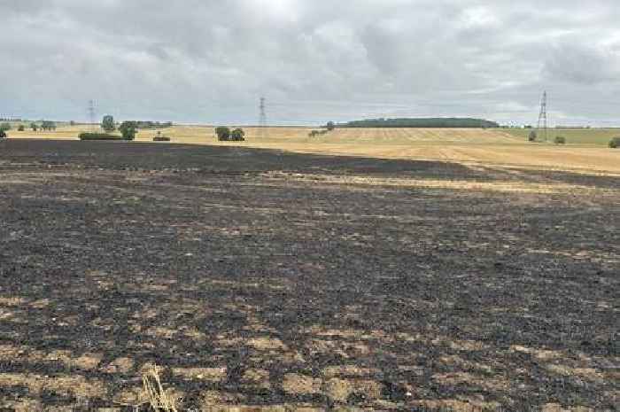 Hamerton Zoo Park: Cambridgeshire zoo evacuated after nearby blaze as farmers join firefighting effort