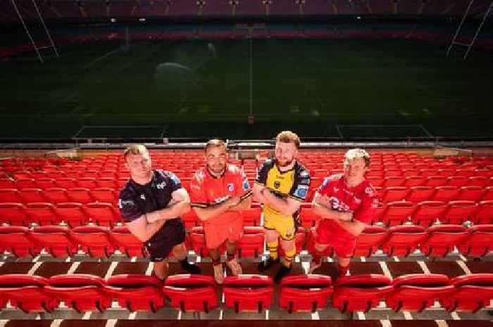 One cut or two, Welsh rugby's biggest decision yet could save or break the game