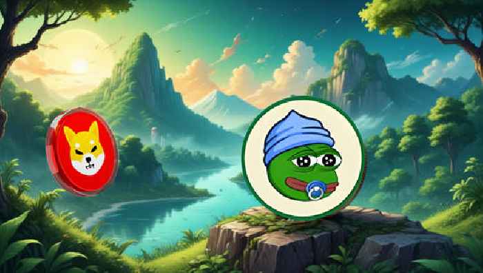 3 reasons behind SHIB’s decline since 2022 and the meme coin set for the next 100x run
