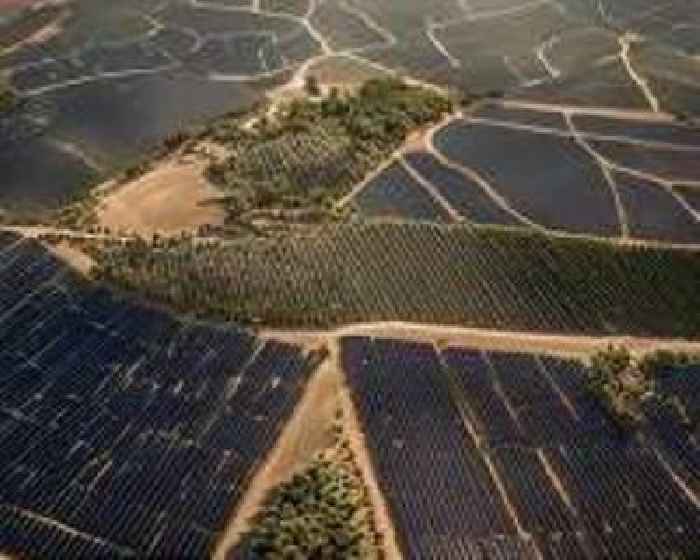 Mapping the regions where solar energy cuts carbon emissions most effectively